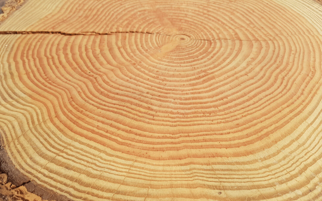 Geburtstag als Neubeginn